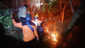 Seluas 123 Hektar Hutan dan Lahan Terbakar di Taman Nasional Ceremei