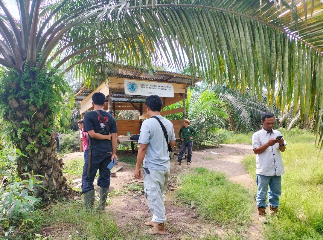 Para Petani Mendirikan Posko Perjuangan di Lahan Milik Mereka. (foto: Ahmad Muzir/ kabar18.com)