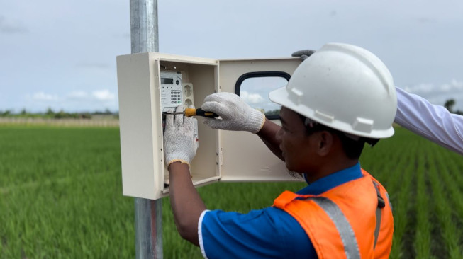 Program Electrifying Agriculture PLN Mampu Tingkatkan Produktivitas Pertanian Padi di Ponorogo