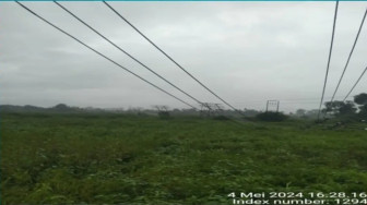 Tiang Listrik SUTM PLN di Payo Selincah Roboh, Aliran Listrik Terganggu