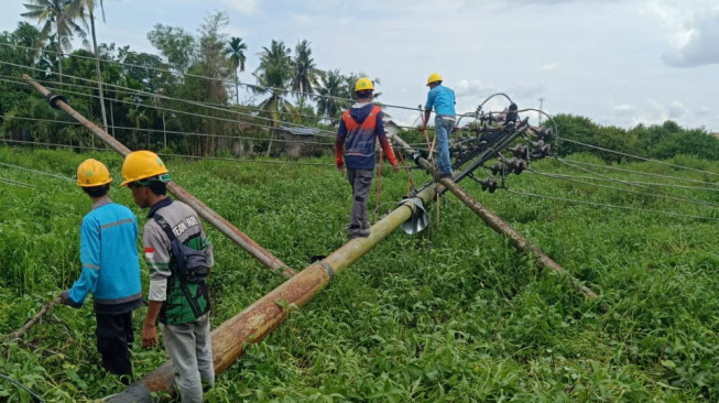 Kembali PLN UP3 Jambi Lakukan Pemeliharaan Jaringan Listrik Secara Rutin