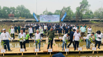 50 Tahun Hadir di Indonesia, Yamaha Motor Indonesia Upayakan Reduksi Emisi Karbon Melalui CSR Penanaman Mangrove di Berbagai Daerah