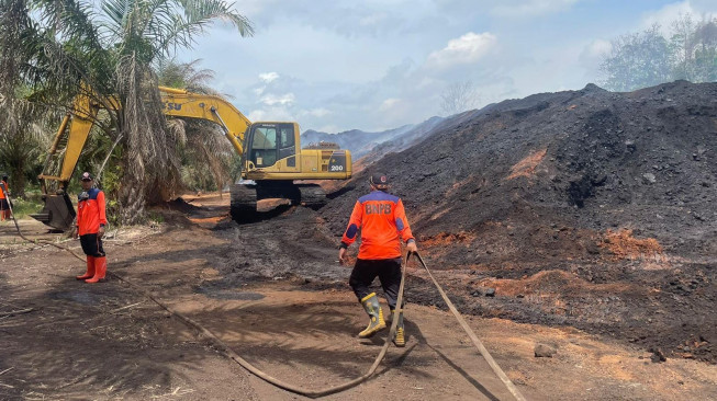 Stockpile Batu Bara PT. Bumi Borneo Inti di Desa Sungai Gelam Terbakar