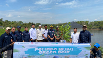 Sambut HUT RI ke-79, Pelindo Regional 2 Jambi Tanam 350 Bibit Pohon