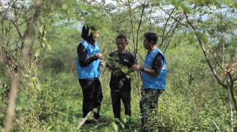 Pengembangan Biomassa PLN di Tasikmalaya: Dikelola Masyarakat, Didukung Pemerintah