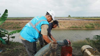 PLN Listriki Area Sawah Garapan Kementan - TNI