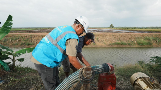 PLN Listriki Area Sawah Garapan Kementan - TNI