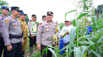 Polda Jambi Tanam Bibit Jagung, Mendukung Program Asta Cita Presiden RI