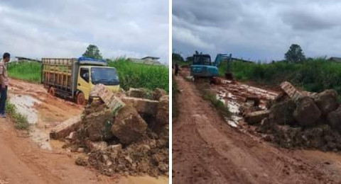 Pak Gubernur Jambi Tolonglah Kami !!!  Jalan Provinsi Jambi yang Menghubungkan Kab. Tanjabtim dan Kab. Muaro Jambi di Kelurahan Simpang Kecamatan Berbak ini Rusak Parah Nian..