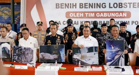 Bareskrim Polri Gagalkan Penyelundupan 151 Ribu Benih Lobster di Perairan Bintan