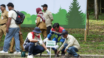 PHR Zona 1 Tanam 21.156 Pohon, Komitmen Hijau untuk Masa Depan Indonesia