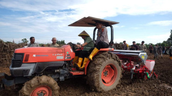 Bupati Muaro Jambi Menanam Jagung Hibrida. Langkah Kongkrit Mendukung Swasembada Pangan Nasional.