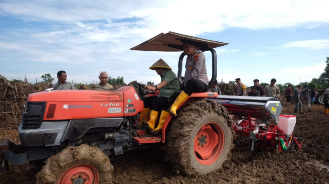 Bupati Muaro Jambi Menanam Jagung Hibrida. Langkah Kongkrit Mendukung Swasembada Pangan Nasional.