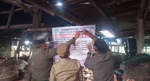 Respon Laporan Masyarakat Walikota Jambi Segel Peternakan Babi Di Kelurahan Sijenjang