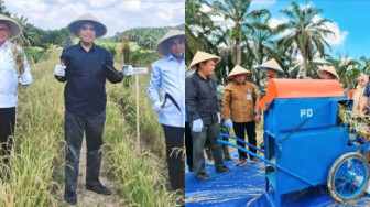 Panen Perdana Padi Gogo di Lahan PSR Muaro Jambi, Kementan Dorong Optimalisasi Ketahanan Pangan