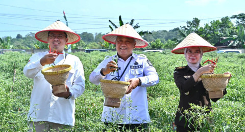 Sekda Resmikan "Lagro Koja" Langkah Pemerintah Kota Jambi Dalam Menjaga Ketahanan Pangan dan Pengendalian Inflasi