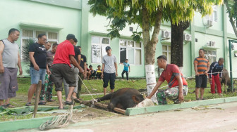 Korem 042/Gapu Gelar Ibadah Kurban, Wujud Kepedulian dan Kebersamaan TNI dengan Masyarakat