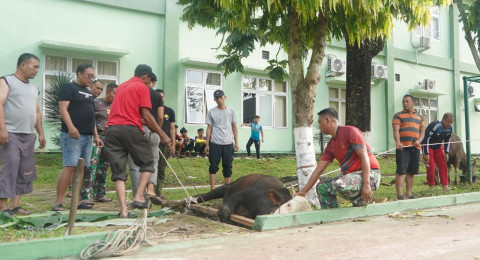 Korem 042/Gapu Gelar Ibadah Kurban, Wujud Kepedulian dan Kebersamaan TNI dengan Masyarakat