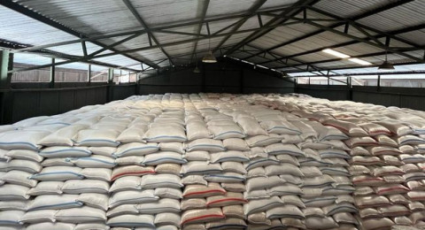 Ada Indonesia Effect, Harga Beras Dunia Terjun Bebas