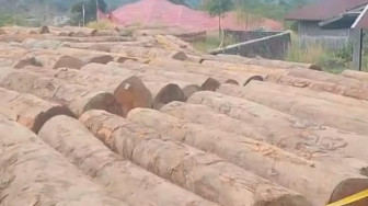 Pembalak, Budi Satriadi  Kalah Dalam Pra Peradilan Lawan Gakkum Kehutanan, Setelah Dirinya Ditetapkan Tersangka Pembalak Liar di Hulu Batang Sungai Bayang, Solok