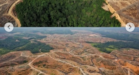 2.054 Izin Tambang Aktif Mengunyah Tubuh Sumatera, Wajar Kalau Banjir, Longsor Menghancur-leburkan Tanah Andalas ini...?