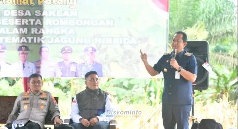 Bupati Muaro Jambi Hadiri Panen Raya Tematik Jagung Hibrida di Desa Sakean