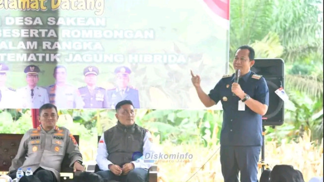 Bupati Muaro Jambi Hadiri Panen Raya Tematik Jagung Hibrida di Desa Sakean