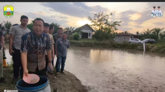 Dari 4000 Kolam Ikan di Tangkit Baru, Hanya 400 Kolam yang Berfungsi. Kendalanya Pakan Ikan yang Mahal, BBS Janji Cari Solusi
