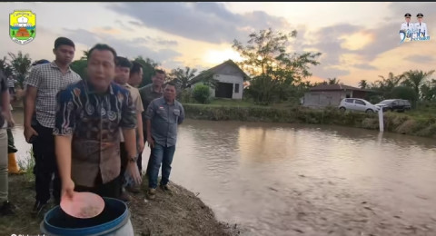 Dari 4000 Kolam Ikan di Tangkit Baru, Hanya 400 Kolam yang Berfungsi. Kendalanya Pakan Ikan yang Mahal, BBS Janji Cari Solusi