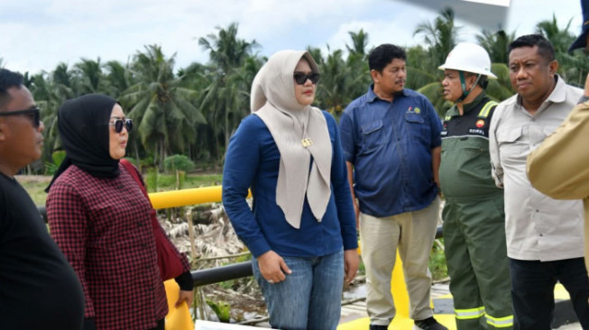 Bupati Tanjung Jabung Timur Hj. Dillah Hikmah Sari, ST Meninjau Pembangunan Jalan dan Jembatan di Kecamatan Mendahara