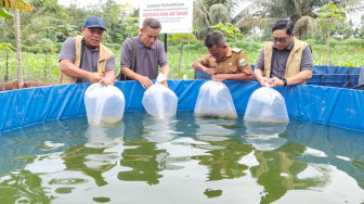 Lewat Budidaya Ikan Bioflok, SKK Migas dan Pertamina EP Jambi Dorong Kemandirian Ekonomi Desa
