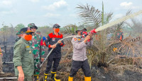 Kualitas Udara Memburuk, Pemprov Jambi Terbitkan SE Darurat dan Perketat Pengawasan Karhutla