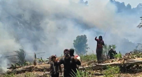 Karhutla di Merangin, Kampungnya Gubernur Al Haris Meluas, Tim Gabungan Kesulitan Padamkan Api
