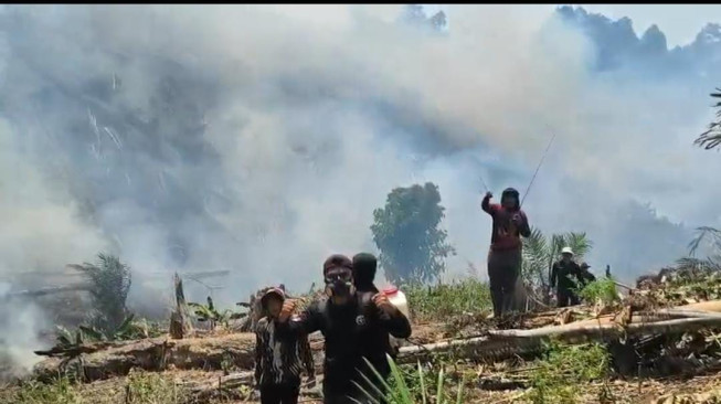 Karhutla di Merangin, Kampungnya Gubernur Al Haris Meluas, Tim Gabungan Kesulitan Padamkan Api
