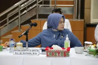 Ketua Komite IV DPD RI, Dra. Hj. Elviana, M.Si. (Humas DPD RI)