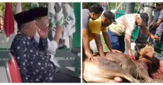 Penyembelihan hewan kurban di kantor DPW PKB Provinsi Jambi, Rabu (19/6/2024).|| nil de fretes