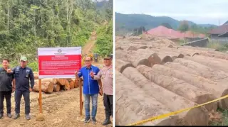 Bukti kayu hasil pembalakan liar di Hulu Sungai Batang Bayang di Sariak Bayang, Nagari Simpang Tanjung Nan Ampek, Kecamatan Danau Kembar, Kabupaten Solok (ist)