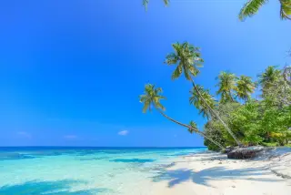 Ilustrasi: Pemandangan pantai berpasir putih dengan pohon-pohon kelapa di bawah langit biru cerah.