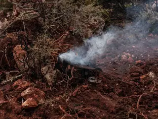 Kementerian Kehutanan Cabut Izin Lima Perusahaan Terkait Karhutla