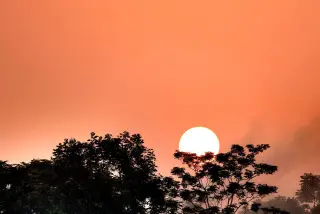 Ilustrasi: Matahari terbenam di balik siluet pepohonan dengan langit berwarna oranye kemerahan.