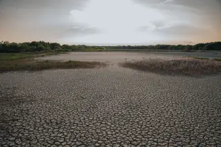Ilustrasi: Hamparan tanah kering retak-retak dengan vegetasi semak di kejauhan di bawah langit cerah.
