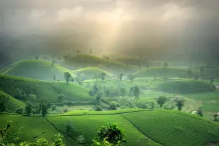 Ilustrasi: Pemandangan perbukitan hijau bergelombang dengan kabut dan sinar matahari tembus awan.