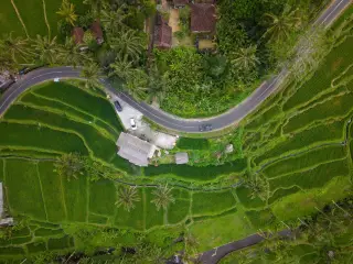 Ilustrasi: Pemandangan udara jalan beraspal meliuk di antara persawahan terasering hijau dan pepohonan.