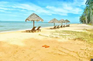 Ilustrasi: Deretan kursi santai dan payung jerami kosong di tepi pantai berpasir yang cerah.