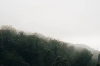 Ilustrasi: Pemandangan lereng bukit berhutan lebat yang diselimuti kabut tebal berwarna putih kelabu.