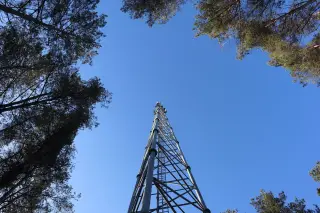 Ilustrasi: Menara baja telekomunikasi menjulang tinggi dengan latar langit biru di antara pepohonan.