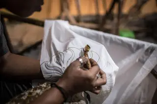 Ilustrasi: Tangan perajin sedang mencanting malam pada selembar kain putih bermotif.