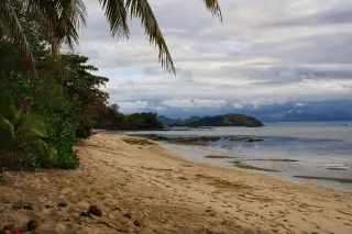 Ilustrasi: Pemandangan garis pantai berpasir dengan pepohonan tropis dan langit berawan di tepi laut tenang.