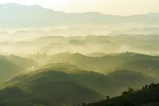 Ilustrasi: Pemandangan perbukitan hijau bergelombang yang diselimuti kabut tebal pada pagi hari.