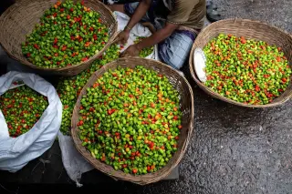 Ekonomi Tiga Wilayah Sumatera Mulai Pulih Pascabencana